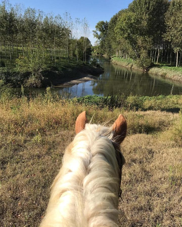 Agriturismo Tenuta "Il Cigno" Villanterio Zewnętrze zdjęcie
