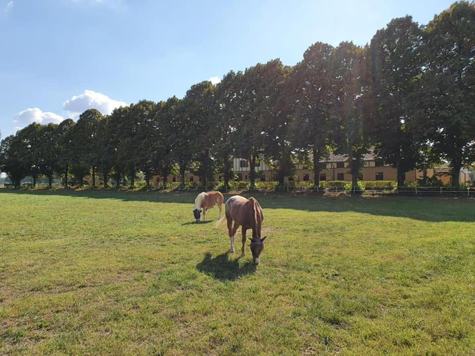 Agriturismo Tenuta "Il Cigno" Villanterio Zewnętrze zdjęcie