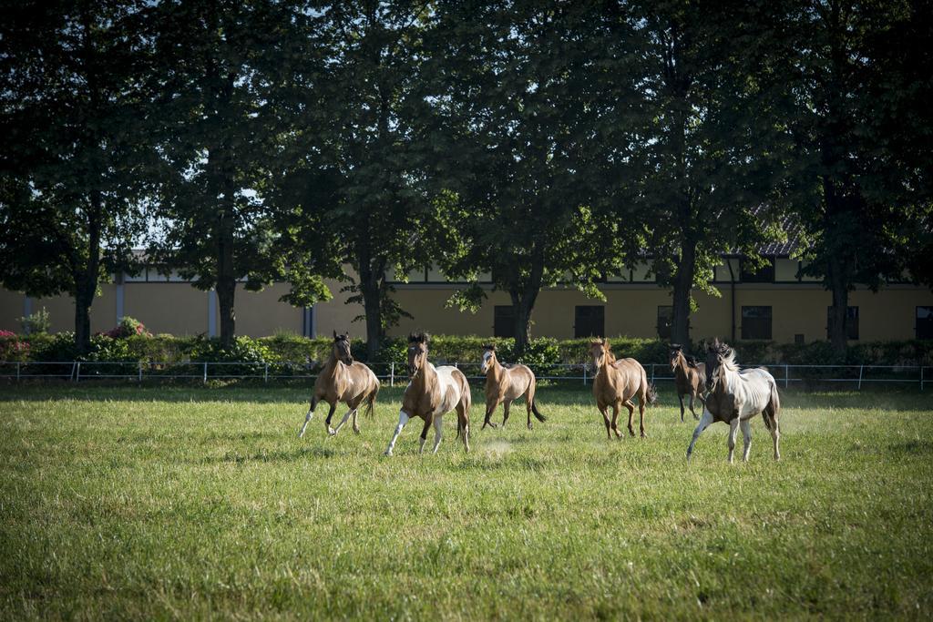 Agriturismo Tenuta "Il Cigno" Villanterio Zewnętrze zdjęcie