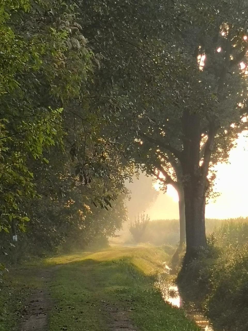 Agriturismo Tenuta "Il Cigno" Villanterio Zewnętrze zdjęcie