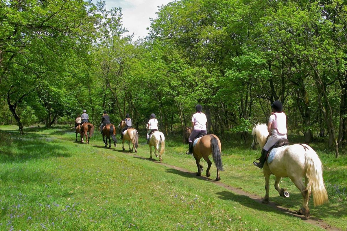 Agriturismo Tenuta "Il Cigno" Villanterio Zewnętrze zdjęcie