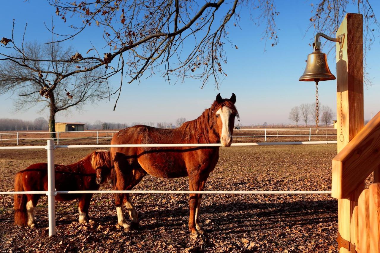 Agriturismo Tenuta "Il Cigno" Villanterio Zewnętrze zdjęcie